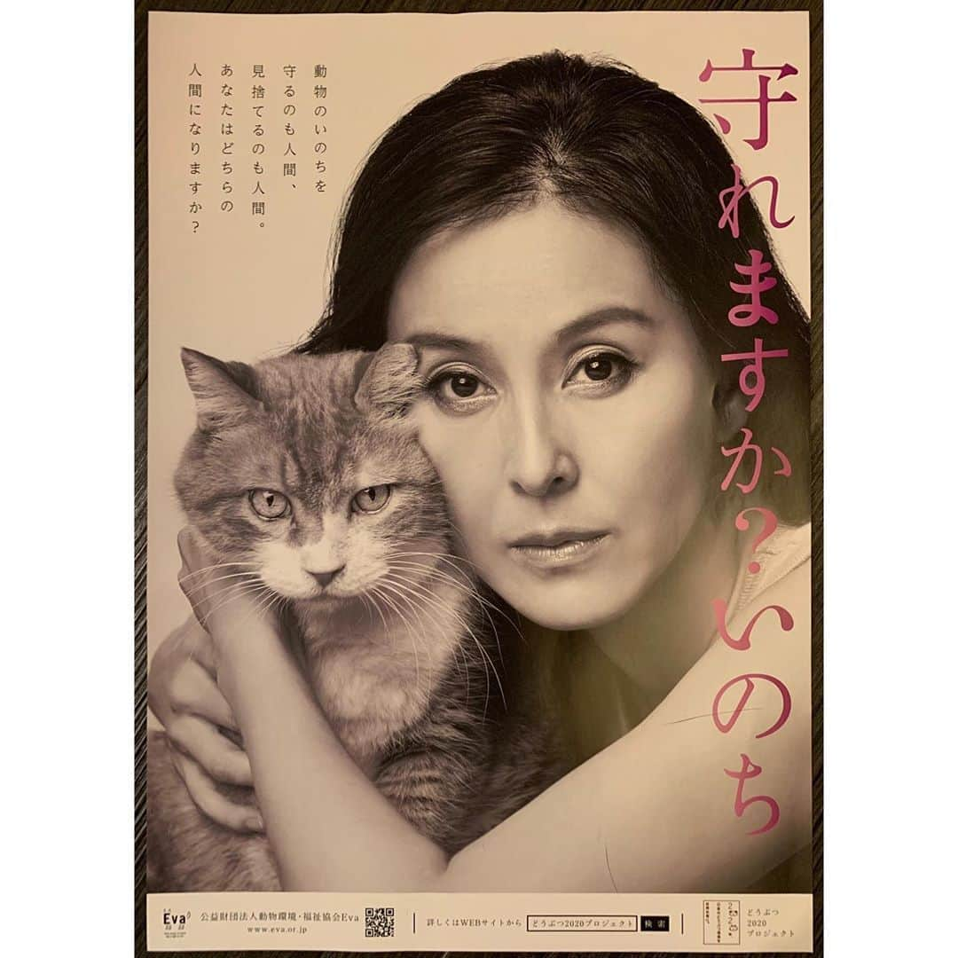 松島花さんのインスタグラム写真 - (松島花Instagram)「: 今日は、お仕事がお休みだったので… 杉本彩さんが代表理事を務めていらっしゃる 公益財団法人動物環境・福祉協会 Evaによる 「動愛法改正のふりかえりと今後の課題」を テーマとしたシンポジウムに参加させて頂きました。 . . 〝動物愛護法改正〟の法案は6月12日 参議院本会議にて無事に成立しました。 今年、私もオフィシャルとアニマルの投稿や ストーリーで何度も呼びかけさせて頂いた 「動物愛護法改正のための署名」は締切り ギリギリまでこれでもかこれでもかというくらい Eva事務局に届いたそうです。 ご協力くださった沢山の皆さま 本当にありがとうございました！ . 以前よりお会いしたかった、杉本彩さん🙂🙂 想像通り、愛情いっぱい、パワフルでとても素敵な方でした。 本日の様子を @hana_matsushima_animal でも 書きましたので興味のある方、 読んで頂けたら嬉しいです🐕♡🐈 : #杉本彩 さん #松島花  #eva #花アニマル  #動愛法改正 #動物虐待厳罰化 #シンポジウム #保護猫 #保護犬 #命の期限 #殺処分反対 #殺処分ゼロ  #指1本でできるボランティア #大切な命 #殺処分より譲渡へ  #殺処分ゼロへとムーブメントを起こしましょう #ペットショップへ行く前に里親になる選択を」6月20日 0時28分 - hana_matsushima_official