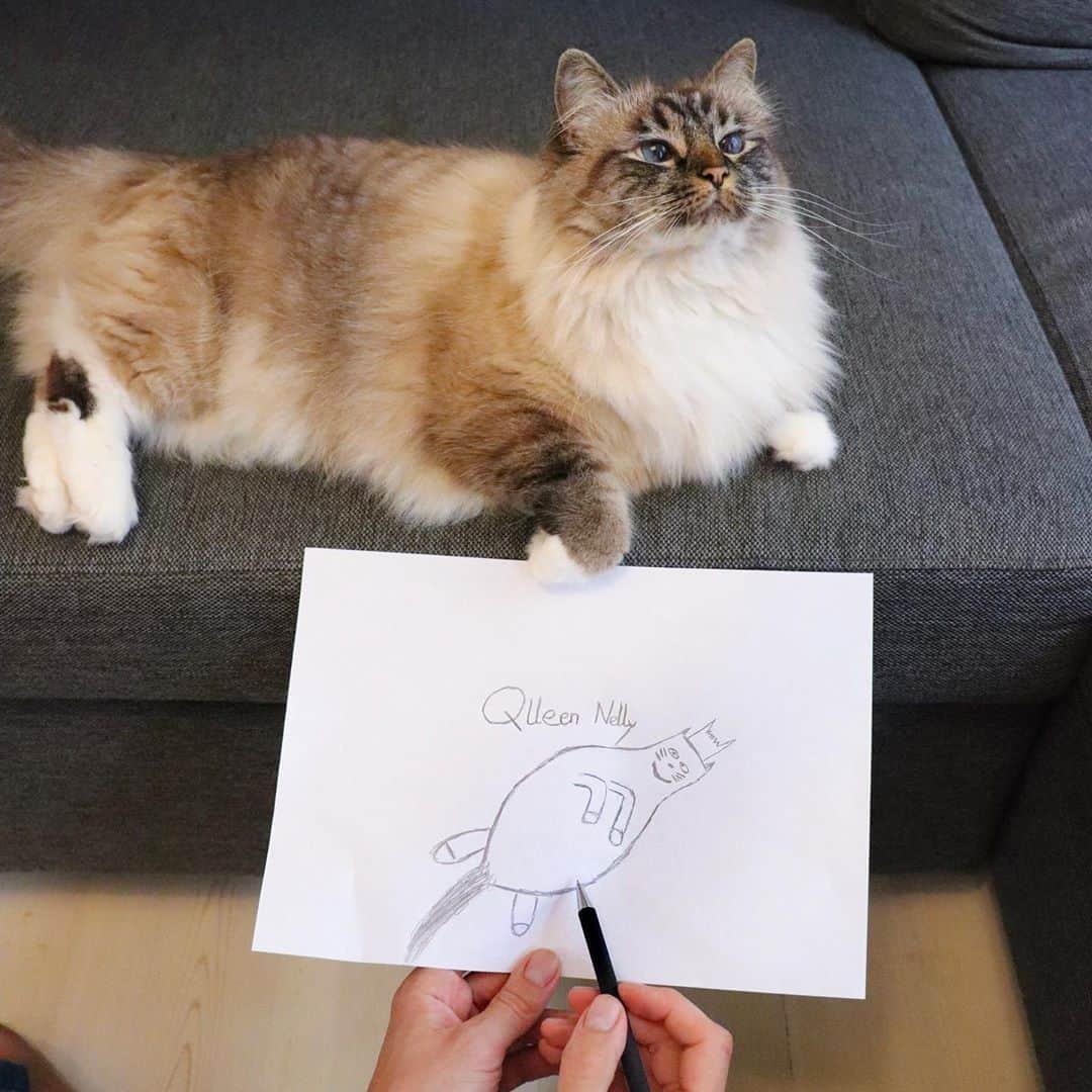 Aww Clubのインスタグラム