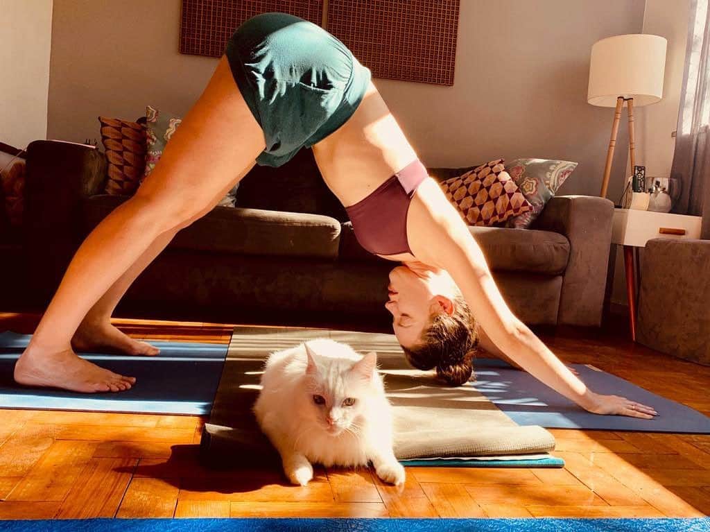 ナタリア・ディルさんのインスタグラム写真 - (ナタリア・ディルInstagram)「Yoga com ele #nicolaufigura @adrianacamargo_yoga」6月20日 2時18分 - nathaliadill