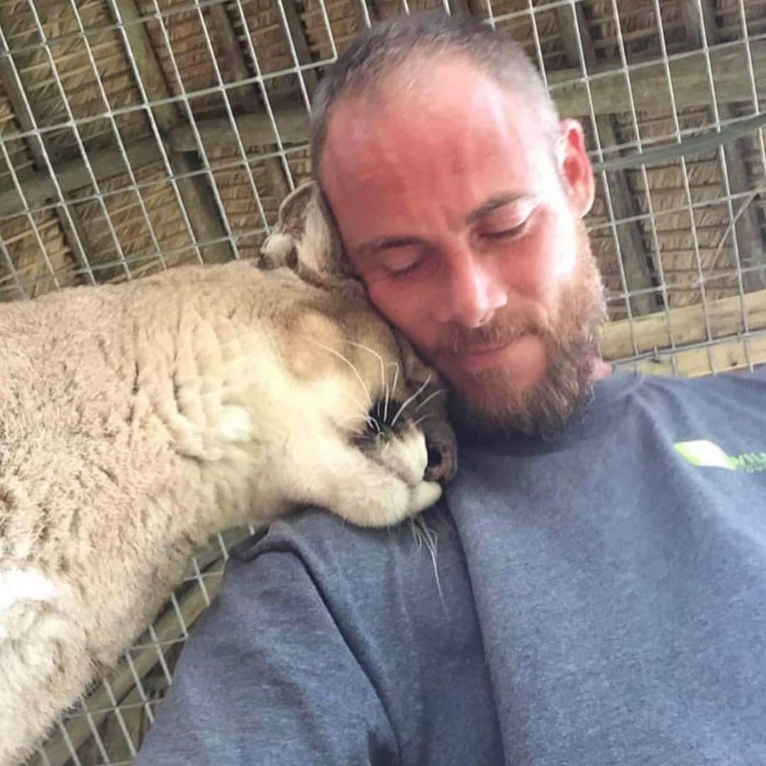 Zoological Wildlife Foundationさんのインスタグラム写真 - (Zoological Wildlife FoundationInstagram)「This was Morgan Simpson. A friend, a brother, a son and most importantly a huge part of our ZWF family. Morgan was one of our first pioneers here at the zoo 19 years ago. With him helping us effortlessly we were able to built the foundation that is home to many animals. Helping us raise and care for the animals, Morgan became an important member of our family. With a broken heart we say goodbye to Morgan. After suffering a massive stroke at age 38, Morgan’s health is declining rapidly. We will always and forever honor Morgan in our hearts and memories, for as long as we live. Note: he’s still alive but not expected to make it to Sunday! 💙😢🙏🏼 👼 💔」6月20日 2時46分 - zwfmiami