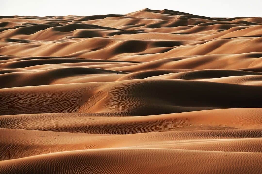 Michael Yamashitaさんのインスタグラム写真 - (Michael YamashitaInstagram)「Desert dunes near the Liwa Oasis in Abu Dhabi. The Rub' al Khali is the largest contiguous desert in the world, covering most of the southern third of the Arabian peninsula. Aptly named, the Empty Quarter, it can best be described as a sea of sand with rolling windswept waves.  #AbuDhabi #UAE #unitedarabemirates #rubalkhali」6月20日 4時01分 - yamashitaphoto