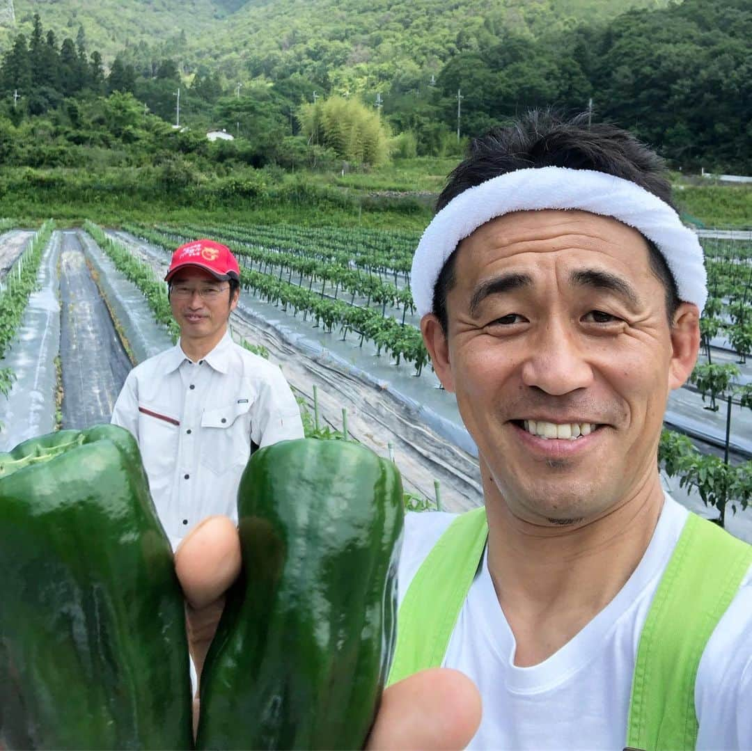 石田靖さんのインスタグラム写真 - (石田靖Instagram)「関西テレビ⑧『よーいドン』 「産地の奥さんごちそう様」で兵庫県三田市へ 今回の食材は「ピーマン」 肉厚で色濃く、瑞々しいピーマン 三田の奥さんのピーマン料理ご紹介😆おおきにごちそうさんです🙏 #関西テレビ #産地の奥さんごちそう様 #産ごち #兵庫県三田市 #三田 #ピーマン #三田ピーマン #パスカル三田 #ピーマン料理 #2枚目の写真 #ピーマンの納豆炒め #3枚目の写真 #ピーマンのホイル焼き #4枚目の写真 #ピーマンのトースター焼き #めっちゃ美味い #一期一笑  #石田靖」6月20日 15時31分 - yasulog