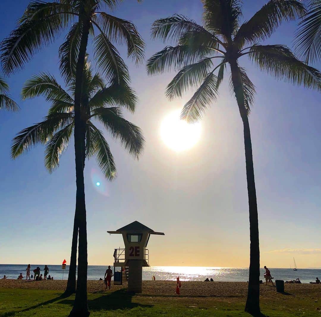 マキ・コニクソンさんのインスタグラム写真 - (マキ・コニクソンInstagram)「今日も良いお天気でした！☀️😎 私はたくさん光合成して元気バリバリちゃん！💪🏼 やっぱりハワイ最高！👍🏼 残りの1日も楽しく過ごそうね！🤙🏼 #ハワイのおすそ分け🤙🏼 #やっぱりハワイ🌺」6月20日 14時09分 - makikonikson
