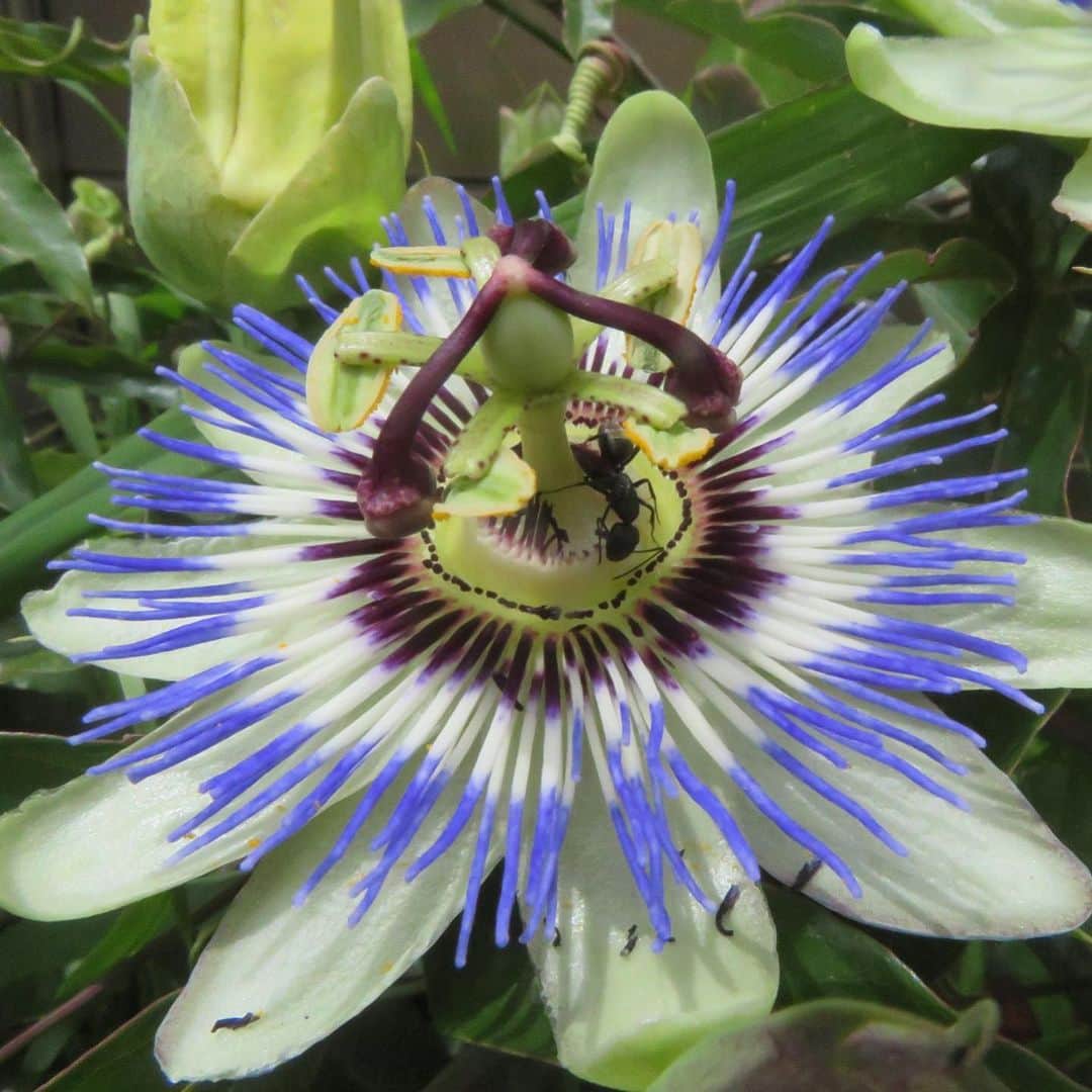 魔女菅原のグルメインスタ