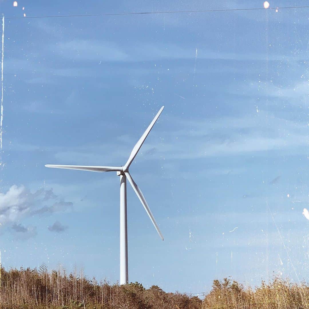 esutoreja_risaribonさんのインスタグラム写真 - (esutoreja_risaribonInstagram)「CHIBAの風車 風車見るとちょっと興奮する👀 . #浜崎あゆみのpv思い出す #千葉#CHIBA#風車」6月20日 15時05分 - esutoreja_risaribon