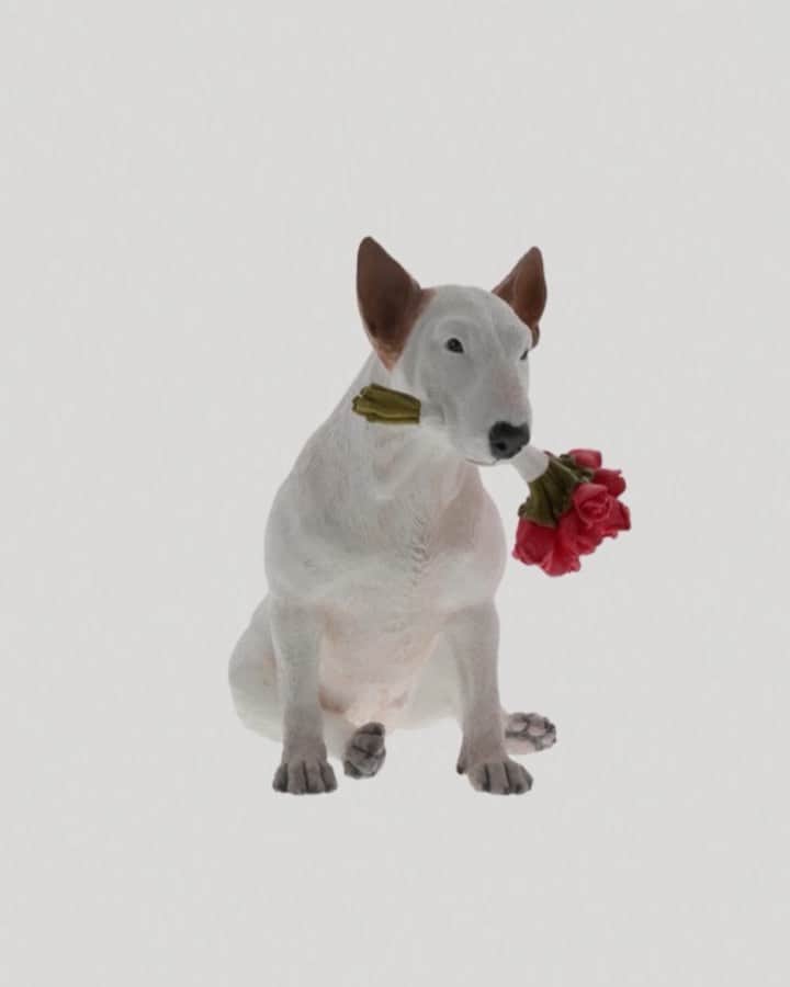 ラファエルのインスタグラム：「how about this little figurine of Jimmy holding roses? this figurine was inspired on the second pic of the slide and you can find it (and other products) on my profile’s link . . que tal essa esculturinha do Jimmy segurando rosas na boca? Ela foi inspirada na segunda foto do slide e pra quem se interessar (neste ou outros produtos), o link esta na minha bio」