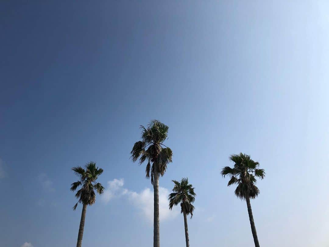 のインスタグラム：「『東京の恋人』、撮影5日目。  good location.  #東京の恋人 #moosiclab #大瀧詠一」