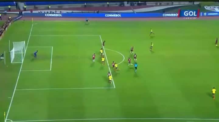 サッカー コロンビア代表チームのインスタグラム：「Así fuel gol de Duván Zapata para la victoria 1-0 ante Catar. Vía @golcaracol」