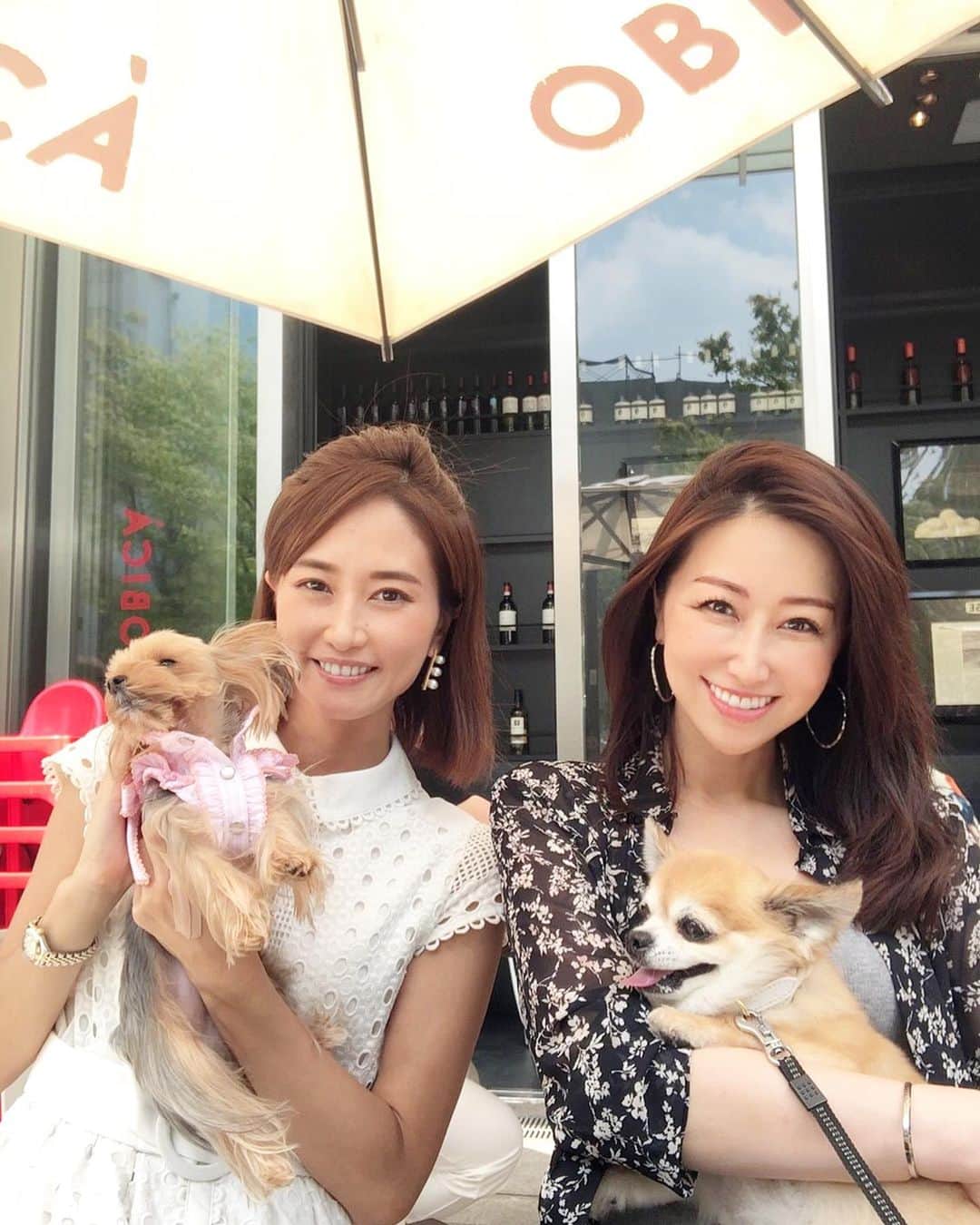 のインスタグラム：「おはヨーキー👸 ・ 可愛いカップル💏えりさん @eri_t28 バイロンくん🐶とランチデートしてきました☺︎ ・ テラス席だったけどまだギリギリ大丈夫でした‼️笑 ・ 食事中2匹ともマイペースにお利口さんにしてました☺︎ ・ 六本木はテラスワンコOKが多くて優しい街♪ ・ 室内OKも増えたらいいなぁ〜。 ・ ２枚目姫ちゃん、シュールな顔してる。笑。 ・ #わんこ#ワンコ#dog#dogsofinstagram #わんこのいる生活 #ヨーキー#yorkie#チワワ#chiwawa#ヨーキーlove #六本木#六本木グルメ #ミッドタウン #ミッドタウンランチ #テラス#yorkie_town #yorkielovers #愛犬#ランチ#わんこ会#アラフォー#アラフォーライフスタイル」