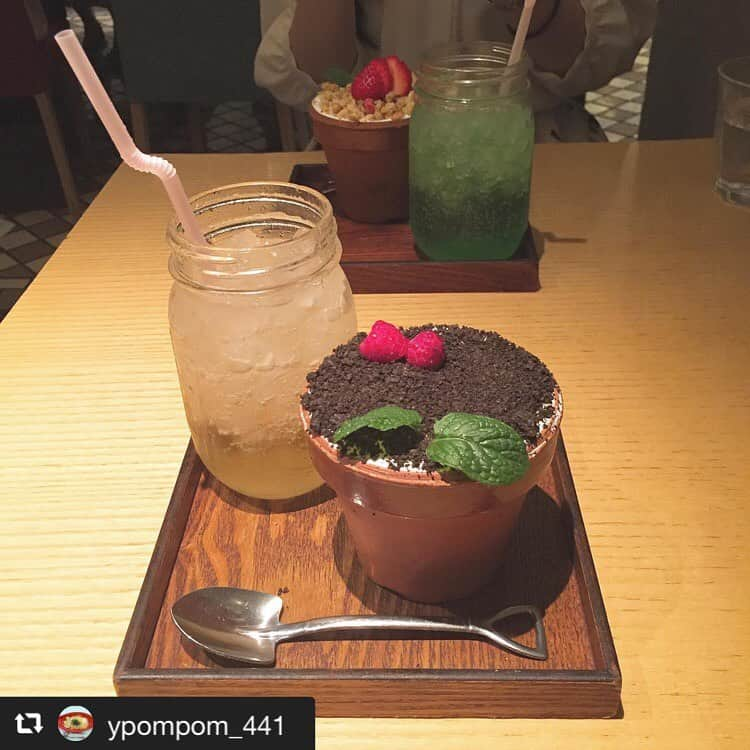 ハレノヒのインスタグラム：「#repost @ypompom_441 via @PhotoAroundApp  2019.5.25  ハレノヒ☺︎ フラワートライフルのズコット🌱 中にブルーベリーが入ってます✨今度は違うズコットを食べたい👌☺️ ✱ ✱ #ハレノヒカフェ#ハレノヒ#フラワートライフル#ズコット#植木鉢#スコップのスプーン#新宿カフェ#土じゃないよチョコだよ @ypompom_441さま ご来店ありがとうございます😊お写真も嬉しいです♪ #フラワーポット#ここでしか食べられない#🍰#ルミネエスト新宿#ケーキ#harenohi#cafe#cute#shinjuku#tokyo#lumineest#flowerpot#cake#sweets」