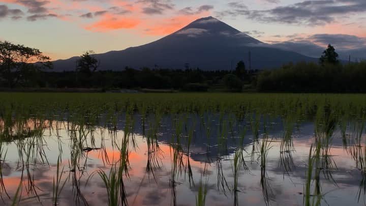 phantastic420のインスタグラム：「. 🤩🤩“Shizuoka” prefecture in Japan is a place where you can see the most “phantastic” Mt. Fuji🗻 in the world.🤩 #富士山 #mtfuji #japan #shizuoka #fujinomiya  #phantastic420photography #mostphantasticmtfuji #selamatpagi  #goodmorning  #おはようございます 😇😇😇😇😇😇😇🗻😇😇 先日のちょい焼けです‼︎昨晩はなぜか雨…今朝もなぜか真っ白…天気予報があてにならないところに住んでおります🤣」