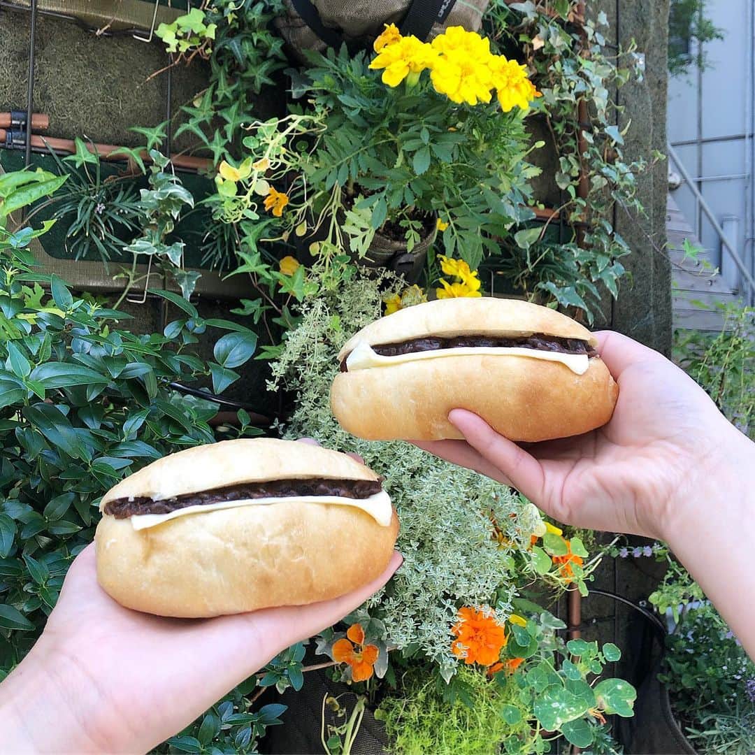 amigo.amigo.5205622のグルメインスタ