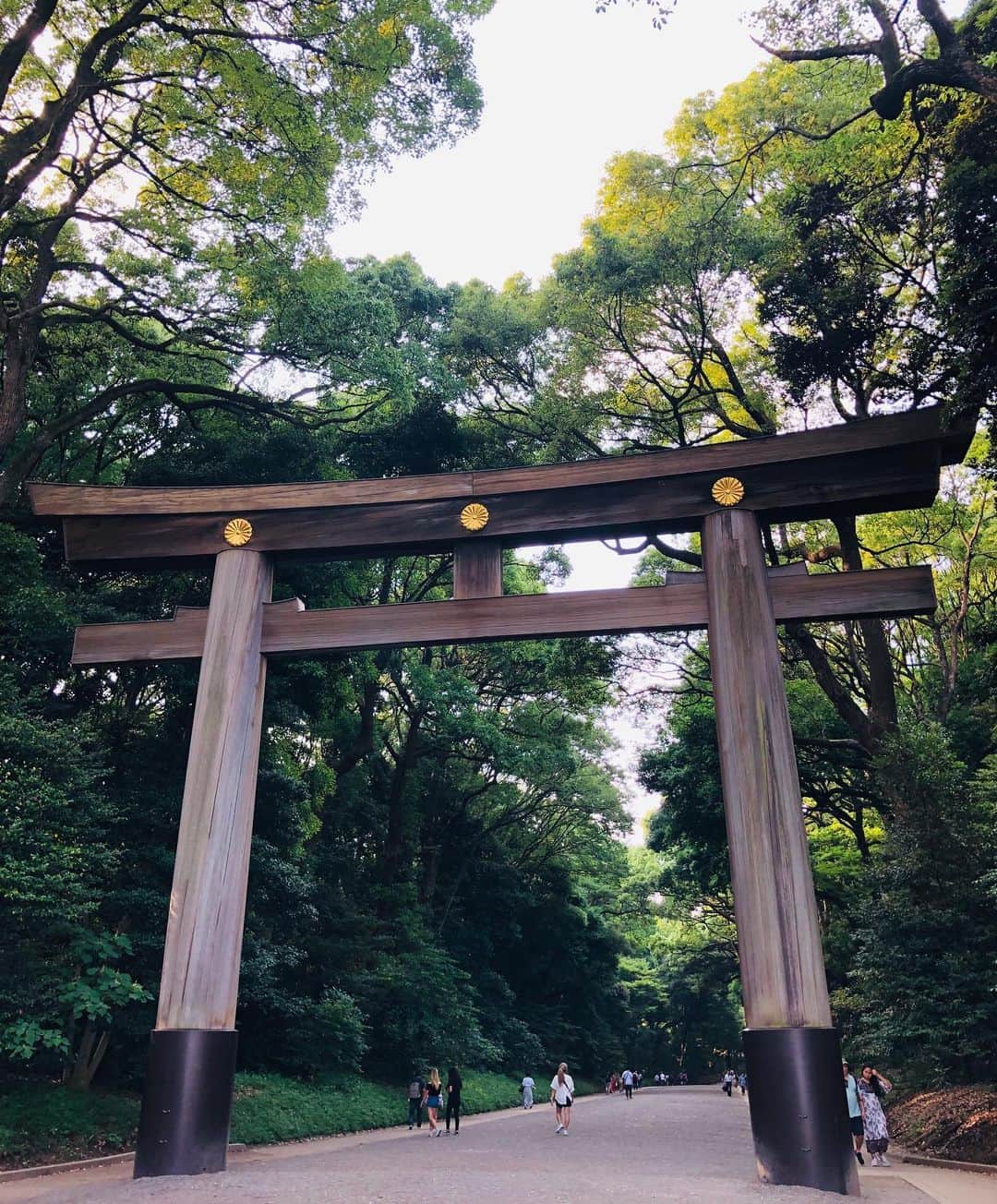 のインスタグラム：「Hello Tokyo ❤️」