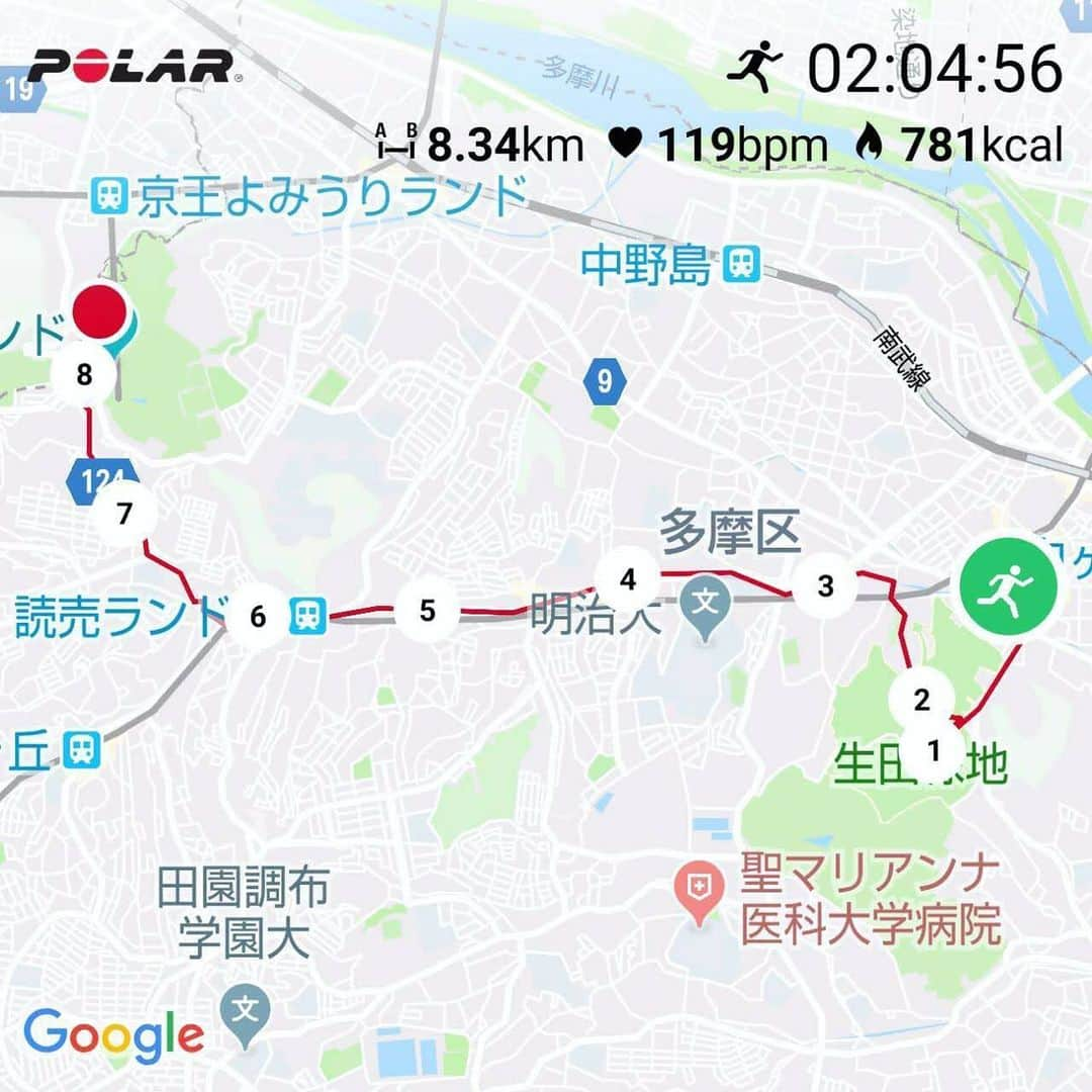 run+さんのインスタグラム写真 - (run+Instagram)「2019.06.16 ［リベンジ！プチトレラン&ホタルの宵］ 向ヶ丘遊園駅からスタートし、生田緑地を抜けて蛍の待つよみうりランドの丘へ #RUN ・ 向ヶ丘遊園駅→生田緑地→生田→よみうりランド 8.34km なんと、今回GPS記録を消しちゃったみたい😱😭😱 何やっても復活せず、参加者の方からMAPを頂きました♪ そんなわけで、個人的にはショックでしたが、花菖蒲も、紫陽花も、そして蛍も😍 初夏の楽しみをたーくさん詰め込んだランに！ ・ 🚟 向ヶ丘遊園駅 前日とは一転しギラギラの太陽😎 ⇓ 💐 生田緑地 ［花菖蒲・紫陽花］ 終りつつある #花菖蒲 と始まりの #紫陽花 初夏の花をダブルで。 ⇓ 🍩 生田 ［モンタナ］ 老舗の洋菓子屋さん、暑い日に嬉しいフローズンドリンクが幸せっ！ ⇓ 🎡 よみうりランド 坂の向こうに大きな観覧車が見えてくるとテンション上がる！ ⇓ ♨ 丘の湯 ［お風呂&夕食］ お風呂がいっぱいで楽しい丘の湯、私は肉そば－。 ⇓ ✨ 聖地公園［ねぶた&ホタルの宵］ ダイナミックなねぶた、そして昨日の分まで乱舞する蛍。 ・ 前日が大雨の予報で急遽翌日に開催でしたが、ご一緒頂いた方々ありがとうございました！！ ・ ＊-------------------------------------------------＊ #run➕α #RUNPLUS #ランニケーション #run➕ run➕おいしい run➕けしき run➕友達 run➕花 ＊-------------------------------------------------＊ ・ #花見ラン #花見RUN #花見は桜だけじゃない ・ #ランニング #RUN #ゆるラン #走れるって幸せ ・ #街ラン #街RUN ・ #ガーミン  #ハシリマスタグラム #ハシリマシタグラム #走るひと ・ #Runday #RunLovesLife」6月20日 9時26分 - runplus