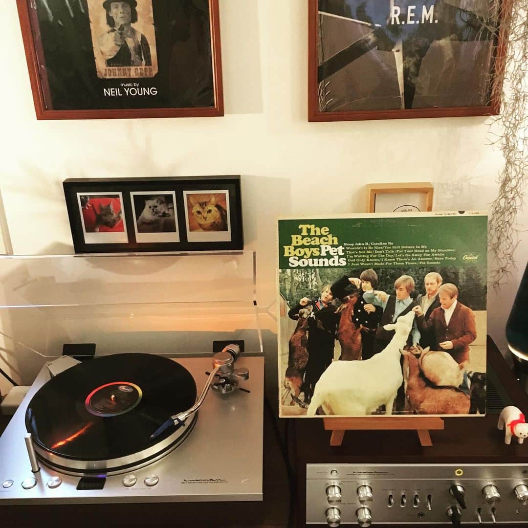 浅田信一さんのインスタグラム写真 - (浅田信一Instagram)「🔊🌀🔊 今朝のレコード。Pet Sounds / The Beach Boys US Orginal Mono （'66）・ ・ #analogrecord  #lprecord  #vinylrecord  #vinylrecords  #petsounds」6月20日 10時17分 - asada_shinichi