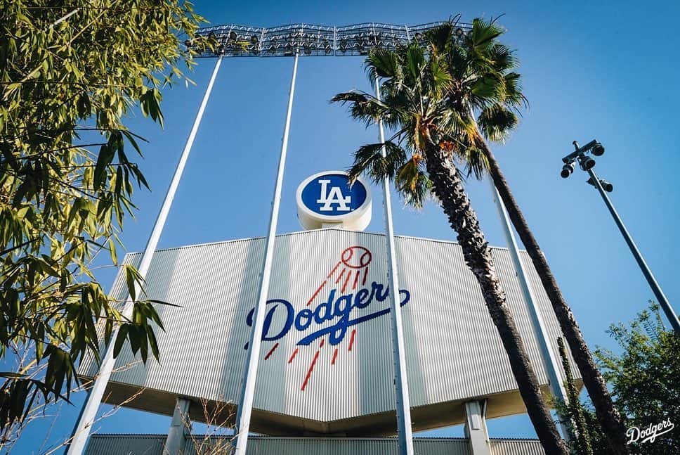 Los Angeles Dodgersさんのインスタグラム写真 - (Los Angeles DodgersInstagram)「Blue Heaven.」6月20日 10時19分 - dodgers