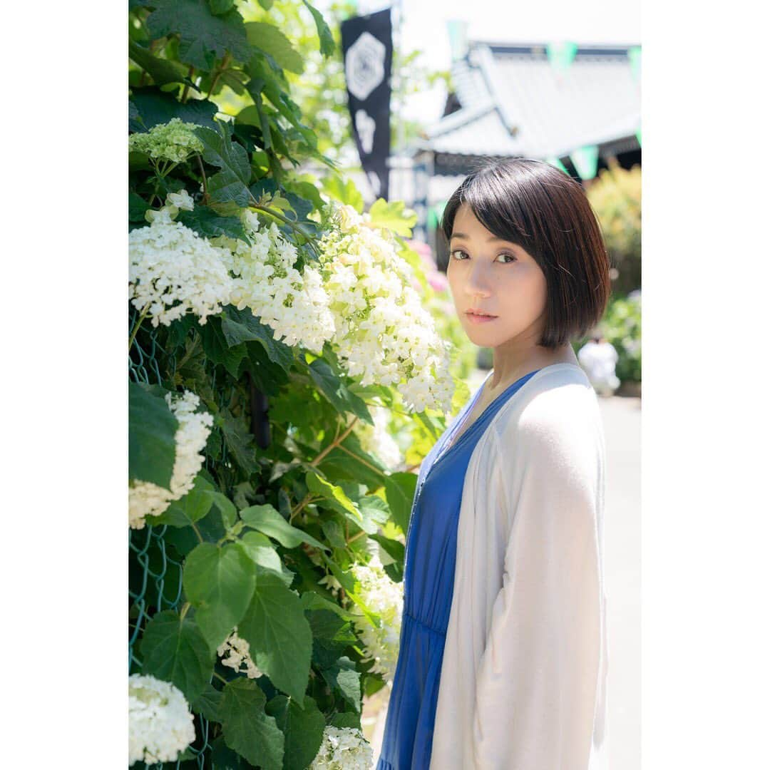 川田希さんのインスタグラム写真 - (川田希Instagram)「紫陽花💠💠💠」6月20日 11時15分 - nozomikawata