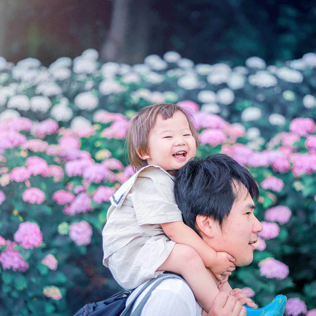 青山フラワーマーケットさんのインスタグラム写真 - (青山フラワーマーケットInstagram)「コンテスト受賞作品ご紹介▷▷ - 今日は #梅雨空にあじさい フォトコンテストの結果発表です！ - - 写真1 @nicotto_kaori さんの作品 - 「あじさいのある風景には涼しげなガラスの器がよく似合う。」とガラスの瓶やお皿に飾ってみたり、あじさいを描いたオリジナルデザインの手描き皿にのせてペーパーナプキンにもあじさいを添えられたテーブルコーディネートの投稿をいただきました。あじさい色のゼリーも素敵ですよね。 - - 写真2 @maiko129  さんの作品 - あじさいのみずみずしさが伝わるように何度も撮影いただいた作品です。「やはり、お花やグリーンが１つあるだけでも、無機質にならず、その空間イメージが変化するのがよい、毎日お水を変えてあげると、自然とこちらの気分もよくなるのもいいですね。」とご自身でも花のある暮らしを楽しまれているようです。 - - 写真3 @hal0417 さんの作品 - お父さんに肩ぐるましてもらって、きれいな紫陽花を見たのを喜んでいる様子がとても伝わる作品です。投稿者さんもご自宅で旬のお花を飾っており、お子さんも花の名前を覚えてくれるようです。これからもいろんな花のある風景を見せてあげてくださいね！ - - - 7月1日（月）まで、リシアンサスをテーマにした #フリルフリルフリル のフォトコンテストも開催しているので、ぜひみなさんそちらの参加もお待ちしております。 - - - #梅雨空にあじさい#紫陽花#フォトコンテスト#花のある暮らし#青山フラワーマーケット#花 #flower#hydrangea#aoyamaflowermarket」6月20日 11時43分 - aoyamaflowermarket