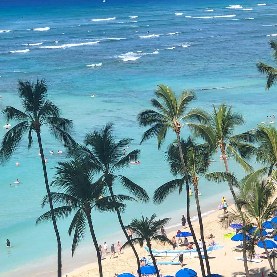 坪井ミサトさんのインスタグラム写真 - (坪井ミサトInstagram)「. . 初めてのHawaiiへ来てます🌺🌴 . まさかお仕事でハワイに来れるなんて… 幸せだ😭 後2日ですが頑張ります✌️ . . #hawaii #南国 #run #running #fitness #fitnessgirl #野球女子 #野球 #tgr #sea #sport」6月20日 12時54分 - misato1030