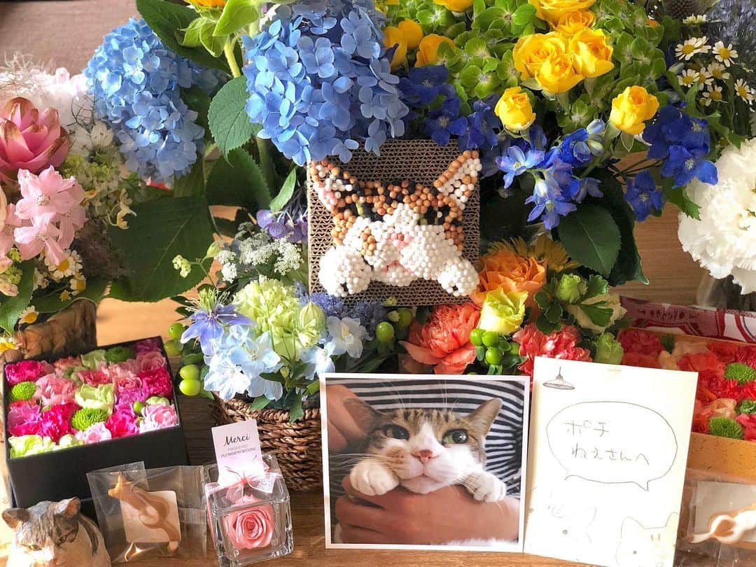 山田稔明さんのインスタグラム写真 - (山田稔明Instagram)「ポチの命日にたくさんの花束をありがとうございました。感動する。ぽっちゃん愛されてるねえ。 #山田ポチ」6月20日 12時50分 - toshiakiyamada