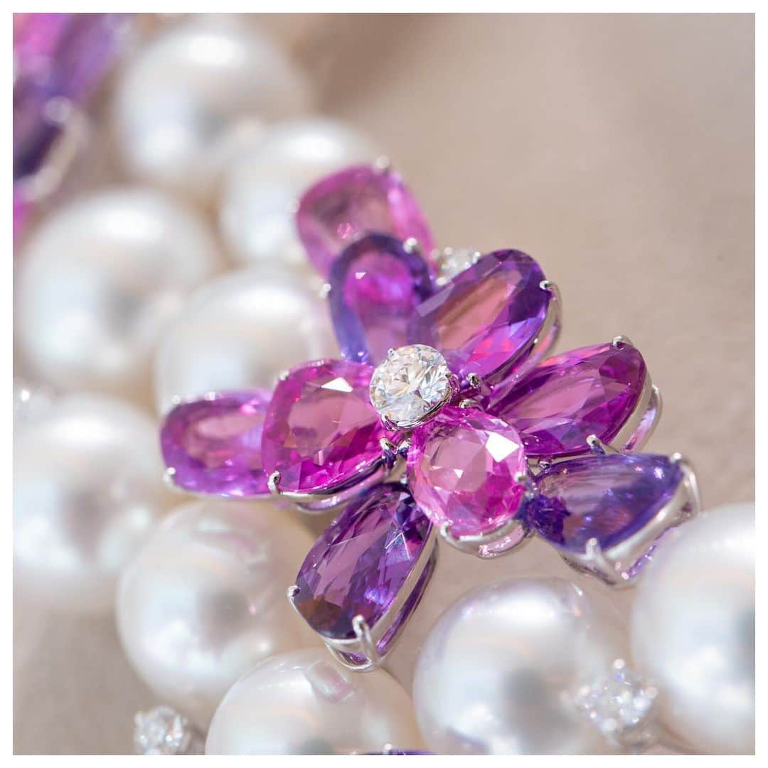 Mikimotoさんのインスタグラム写真 - (MikimotoInstagram)「Fresh and vivid flowers are expressed with colorful sapphires to enhance the beauty of White South Sea cultured pearl necklace. #mikimoto #mikimotopearls #highjewelry #MikimotoPearlMonth」6月20日 13時02分 - official_mikimoto