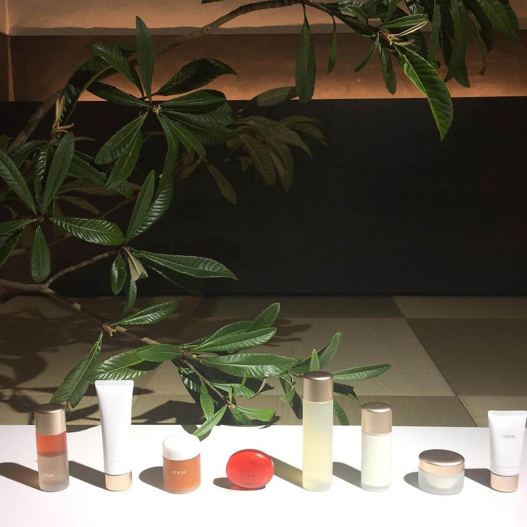 MICHIRUさんのインスタグラム写真 - (MICHIRUInstagram)「いつも美しいプレゼンテーションの @itrimbeauty ✨✨✨ . 今回は築90年 素晴らしい建築の九段ハウスでヘアケア、ボディケア、3つの渦動オイルの発表会。 . 自然界の鮮やかな植物のエネルギーを感じる3つのオイル ピンク- 紫根エキスのスキンケア オレンジ - サジーオイルのボディケア グリーン - ヤロー油のヘアケア 鮮やかなカラーの3つのトリートメントオイルが登場。 いい香りのオイルは自然と呼吸が深くなって丁寧なケアをしたくなります☺️ . 帰りに美香さんとお抹茶をいただきました。 背筋をちょっと伸ばして美味しい和菓子と奥の和室に活けてある枇杷の木と 窓の外の新緑を眺めながらゆったりとしたひと時を過ごしました。 忙しい日常の毎日。こういう時間を過ごす事を忘れていたなぁ。 真のラグジュアリーを感じるitrimらしい演出。 自分を慈しむ時間をitrim は思い出させてくれました✨ . ＊オイル3種 9/4 発売 ＊引き締め効果の高いボディ  ゴマージュ、ヘアケア  8/7 発売 . #100%天然由来成分 #itrim #イトリン #itrimbeauty」6月20日 23時52分 - barbiemichiru