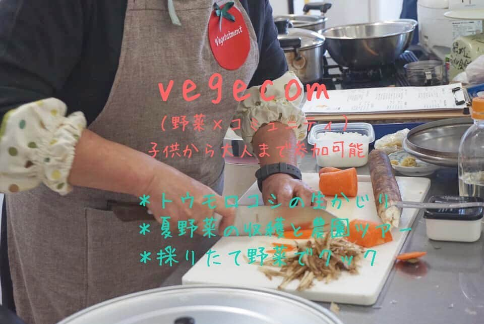 菅野広恵のインスタグラム