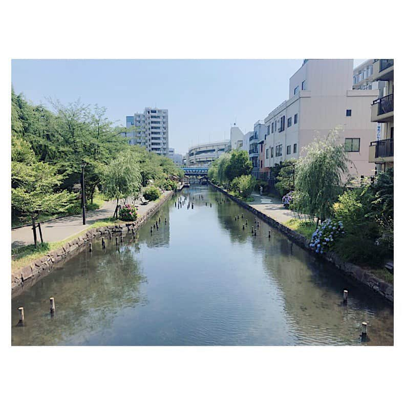 カン・ハンナさんのインスタグラム写真 - (カン・ハンナInstagram)「.﻿ ﻿ ﻿ 昨日は江東区のロケでした💗 ﻿ ﻿ ﻿ 江東区の良さをたくさん感じることができたので楽しかったです😊 ﻿ ﻿ ﻿ これから江東区へもっとお出かけしよう😄 ﻿ ﻿ ﻿ ﻿ ﻿ ﻿ #ロケ #ありがとうございました ﻿ #江東区 #江東区案内 #楽しかった ﻿#東京都江東区  #江東区が好きになりました ﻿ #マネジャーさんの扇風機 #ミニ扇風機 #助かりました  #ootd #tokyolife #koto #goodplace ﻿ ﻿」6月20日 16時02分 - kang_hanna_jp