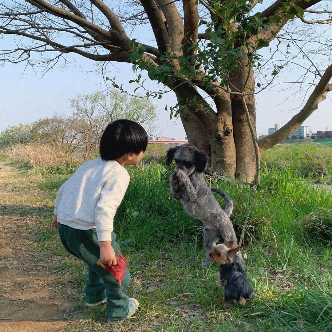 瀬戸あゆみさんのインスタグラム写真 - (瀬戸あゆみInstagram)「To us who grew up🌟 昔からの仲良しさんが集まってピクニックをした日。  6/22に @zipperjp が一号だけ復刊するようで。 わたしもちらっとだけ載るのでよかったら見てください🥰  この時のメンバーもZipperがなかったら出会っていなかったのかもなあというメンバー。 みんな子どもや犬や守るべきものがそれぞれできたり、大人になったなあ。」6月20日 16時07分 - setoayumi