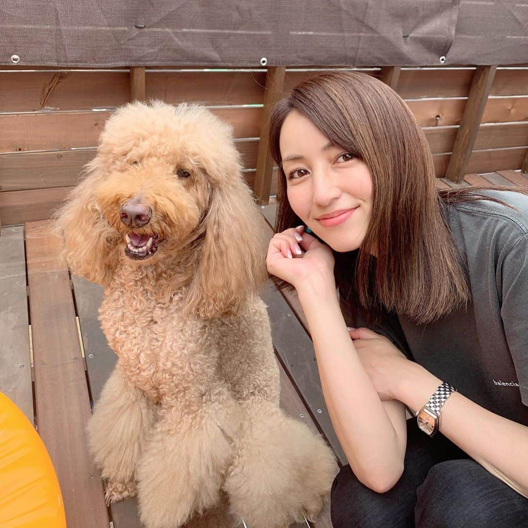 矢田亜希子さんのインスタグラム写真 - (矢田亜希子Instagram)「スタンダードプードルのviviちゃんと♡♡みんなでお茶タイム♪ #矢田亜希子 #akikoyada #スタンダードプードル#スタンプー #standerdpoodle #poodle #話が尽きない#お茶タイム#テラス#可愛すぎる#癒し#楽しかったー」6月20日 16時23分 - akiko_yada