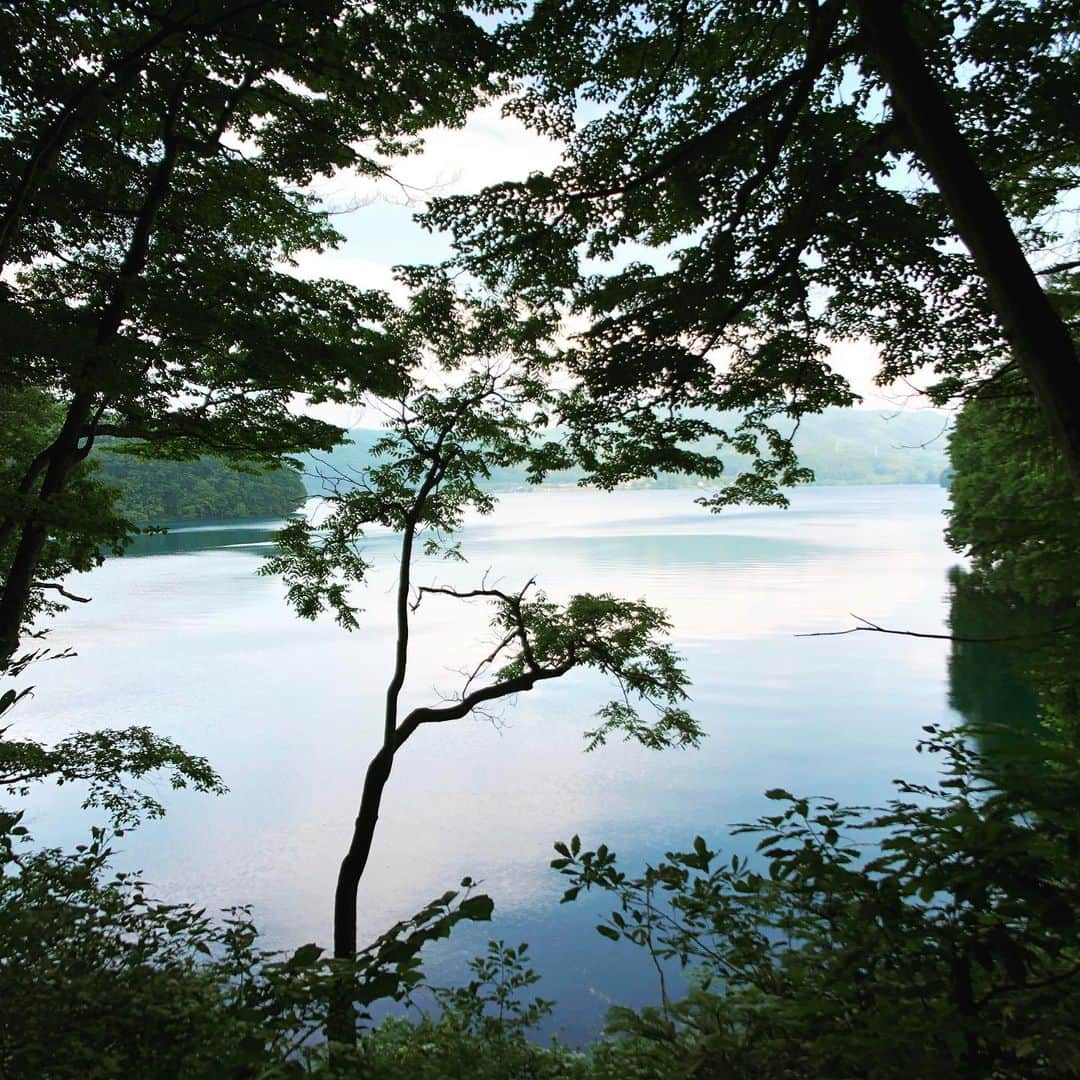 田原直哉さんのインスタグラム写真 - (田原直哉Instagram)「chill🏖 #青木湖 #LakeAoki #hakuba #nagano」6月20日 16時16分 - naoya.tabara