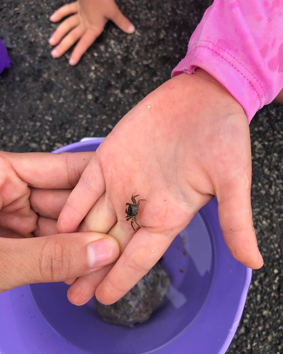 長谷川潤さんのインスタグラム写真 - (長谷川潤Instagram)「🦀🦀🦀」6月20日 16時31分 - liveglenwood