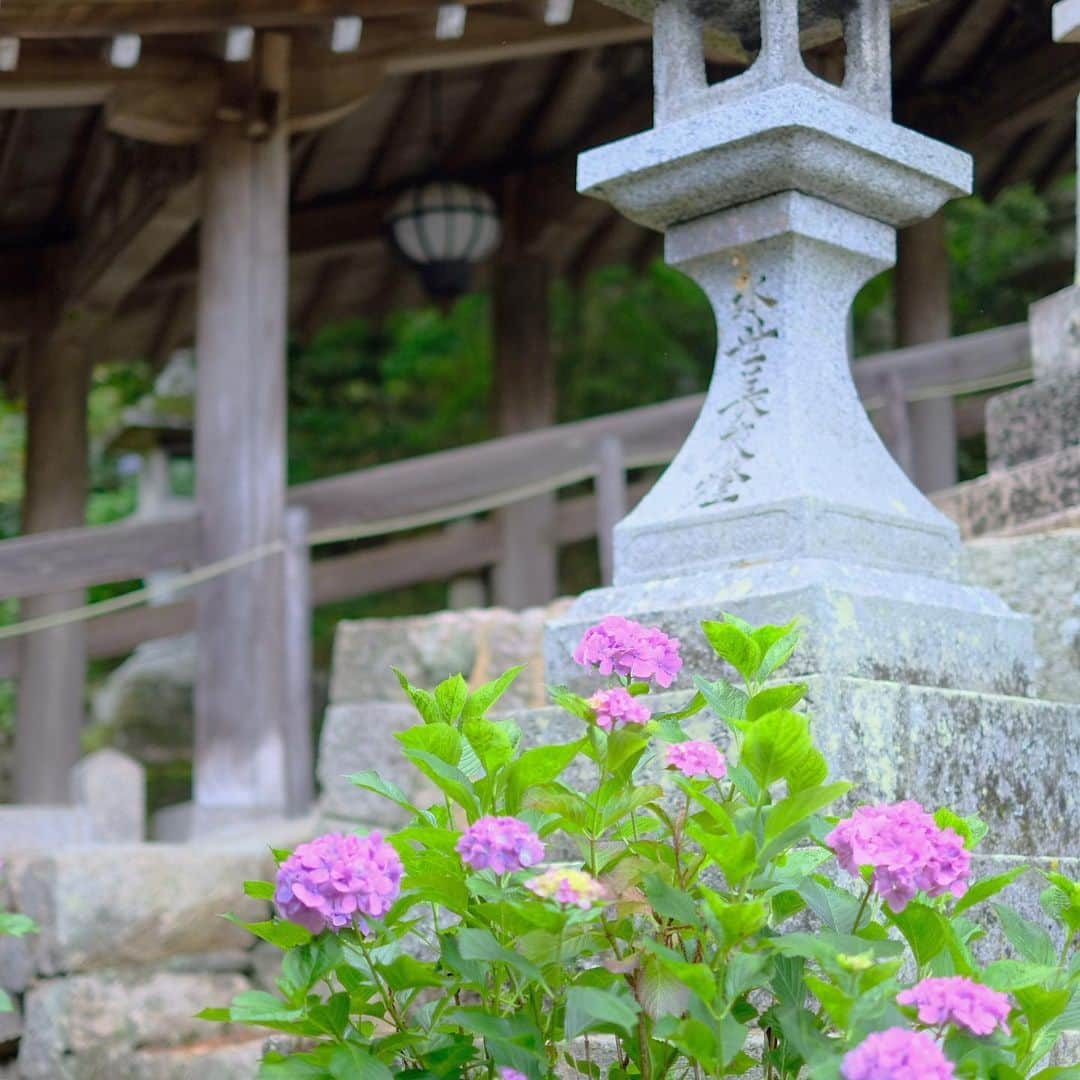 奈良 長谷寺 / nara hasederaのインスタグラム