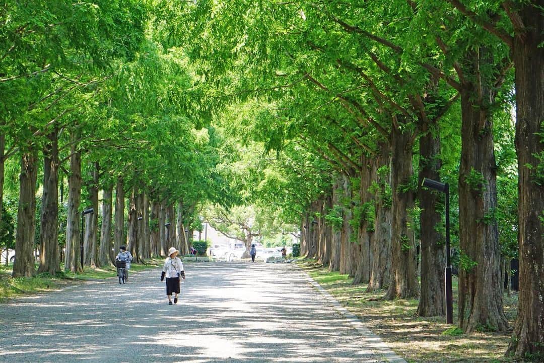 平塚市のインスタグラム