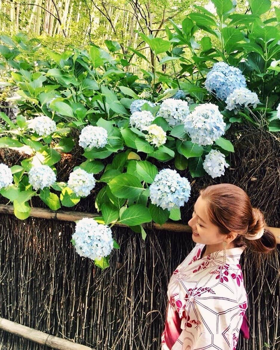 宮崎沙矢加さんのインスタグラム写真 - (宮崎沙矢加Instagram)「I feel so grateful that I get to travel to places as incredible as this ♥️ . . . #yukata #summer #travel #kyoto #japan #picoftheday #bambooforest #京都 #嵐山 #紫陽花」6月20日 17時24分 - sarah___audrey