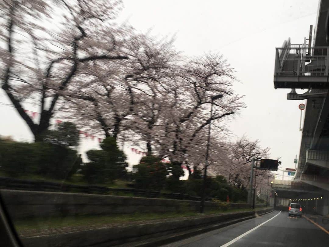 福山理子さんのインスタグラム写真 - (福山理子Instagram)「いろんな風景 #風景 #神保町 #お花見」6月20日 17時34分 - rikofukuyama