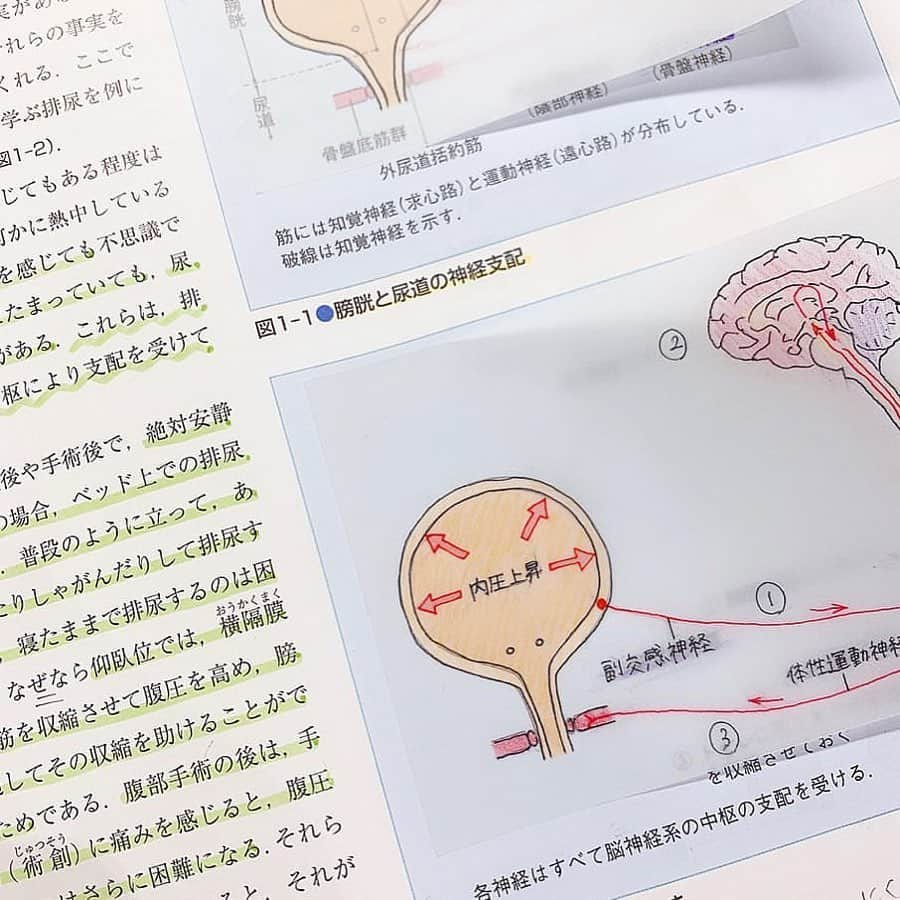 LUCRA（ルクラ）さんのインスタグラム写真 - (LUCRA（ルクラ）Instagram)「DAISO のおすすめ勉強道具を紹介📚 ㅤㅤㅤㅤ  トレーシングペーパーふせん ㅤㅤㅤㅤ  ㅤㅤㅤㅤ  この付箋は透けて見えるから 綺麗に図を描ける 😭  画力皆無の方でももってこいの文具！ トレーシングペーパーだから もちろん色鉛筆で色を塗れるし 描きやすいのなんのその！最高！！ 大きさも2種類あるから 図の大きさに合わせて使えます！🙆🏻 ㅤㅤㅤ  ㅤㅤㅤ  Photo by  @oda_std ㅤㅤㅤㅤㅤㅤㅤㅤ ㅤㅤㅤㅤㅤ ㅤㅤㅤ  #DAISO#ダイソー#文房具 ㅤㅤㅤ  ㅤㅤㅤ ㅤㅤㅤ  LUCRA公式Instagram上で紹介させて頂くお写真を募集中！写真に#lucrajp をつけるかタグ付けして投稿してくださいね♡  #インスタ映え#カフェ好き #置き画くら部 #置き画倶楽部 #おきがくらぶ#置き画#100均#セリア#seria#勉強 #勉強垢 #勉強垢さんと繋がりたい#勉強垢さんと仲良くなりたい#看護学生さんと繋がりたい#看護学生 #看護学生の勉強垢#study #studygram #l4l #いいね返し #勉強法 #勉強ノート #勉強法」6月20日 17時58分 - lucra_app