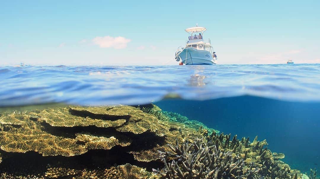 asoview! さんのインスタグラム写真 - (asoview! Instagram)「国の天然記念物にもなったサンゴの楽園をクルージング。 .⁣⠀ 宮古島の八重干瀬（やびじ）は日本最大級のサンゴ礁を誇る絶景スポット。エメラルドグリーンに輝く海を眺めながらゆったりとした時間を過ごせます。 .⁣⠀ 「アクアベース」にはクルージングのほかにダイビングやシュノーケリングのプランもあります。美しいサンゴ礁と色とりどりの魚たちに出会える八重干瀬の海を船上や水中から堪能してみては。 . ≕≔≕≔≕≔≕≔≕≔≕≔≕≔≕≔≕≔≕≔⁣⠀ 🌏Location @八重干瀬⠀ 🏃Organizer is aquabase 📷Picture by @ms_aquabase ≕≔≕≔≕≔≕≔≕≔≕≔≕≔≕≔≕≔≕≔⁣⠀ .⁣⠀ 🏄全国1万9千件以上の遊び紹介中⛺⁣⠀ @asoview .⁣⠀ あなたの体験の思い出を #アソビュー のハッシュタグをつけて教えてください♪⁣⠀ . ステキな投稿はasoview!や @asoviewでご紹介させていただきます❤⁣⠀」6月20日 18時03分 - asoview