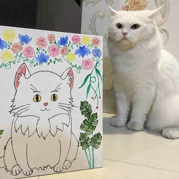 Aww Clubさんのインスタグラム写真 - (Aww ClubInstagram)「Challenge accepted ✍🏼@mr__garu @gobu_the_persian @chal_bernstein @ash_the_british_shorthair @seijohvbc  Draw your cat and remember to tag #drawmeowchallenge to get a chance to be featured  #meowed #drawmeowchallenge #challengeaccepted #wecandraw #meowsterpieces #notbad」6月20日 18時04分 - meowed