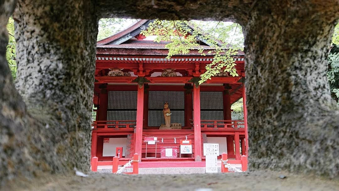 和田益典さんのインスタグラム写真 - (和田益典Instagram)「◆ 新緑の談山神社「拾四」 . 2019年5月18日(土) スマホ撮影 . 「東殿」重文 . 名前の如く、東にある社殿です。 . 東宝庫の近くに有りますよ。 . . おみくじが沢山結ばれていますが、縁結びのスポットとして有名だからのようです。 . 別名「恋神社」とのこと。 . . . #談山神社 #奈良 #大和路 #中臣鎌足 #多武峰 #奈良県 #桜井市 #神社 #桧皮 #東殿 #スマホ写真 #朱色 #vermilion #shrine #green # #灯篭 #文化財 #重文 #重要文化財 #color #縁結び #恋神社 #木造建築 #社殿 #あをによし #photostagram #photo #japan . #わだます寺社巡り . . . なかなか縁のない人は、この社殿だけでも参拝してみては？ (無責任) . .」6月20日 18時07分 - masunori_wada