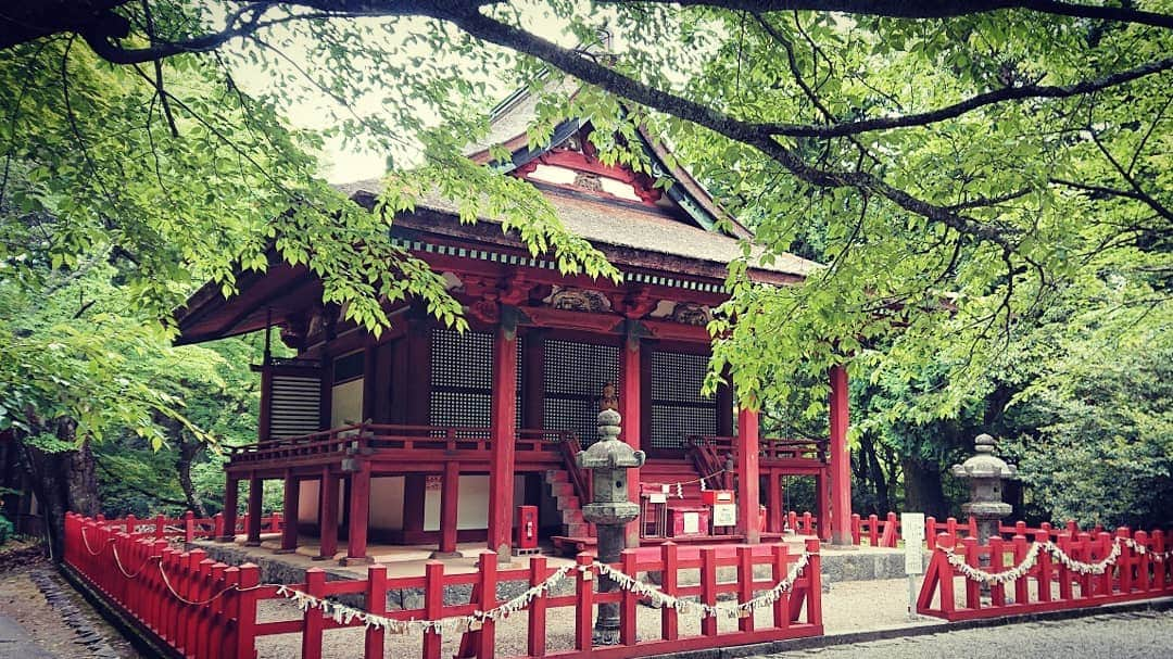 和田益典さんのインスタグラム写真 - (和田益典Instagram)「◆ 新緑の談山神社「拾四」 . 2019年5月18日(土) スマホ撮影 . 「東殿」重文 . 名前の如く、東にある社殿です。 . 東宝庫の近くに有りますよ。 . . おみくじが沢山結ばれていますが、縁結びのスポットとして有名だからのようです。 . 別名「恋神社」とのこと。 . . . #談山神社 #奈良 #大和路 #中臣鎌足 #多武峰 #奈良県 #桜井市 #神社 #桧皮 #東殿 #スマホ写真 #朱色 #vermilion #shrine #green # #灯篭 #文化財 #重文 #重要文化財 #color #縁結び #恋神社 #木造建築 #社殿 #あをによし #photostagram #photo #japan . #わだます寺社巡り . . . なかなか縁のない人は、この社殿だけでも参拝してみては？ (無責任) . .」6月20日 18時07分 - masunori_wada