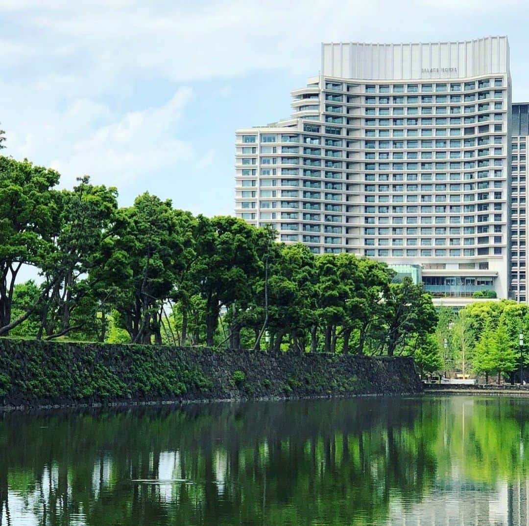 Palace Hotel Tokyo / パレスホテル東京さんのインスタグラム写真 - (Palace Hotel Tokyo / パレスホテル東京Instagram)「美しい水と緑の調和を感じながら、丸の内散歩。A walk around Marunouchi will lead you to appreciate the harmony of beautiful nature.  #自然との調和 #お濠 #お濠端 #丸の内散歩 #東京の自然 #水鏡 #夏の訪れ #パレスホテル東京 #harmonywithnature #waterreflection #tokyoview #natureinthecity #tokyohotel #imperialgardens #wadakuramoat #lhwtraveler #LeadingHotelsoftheWorld #uncommontravel #SummerStars #Marunouchi #PalaceHotelTokyo」6月20日 18時17分 - palacehoteltokyo