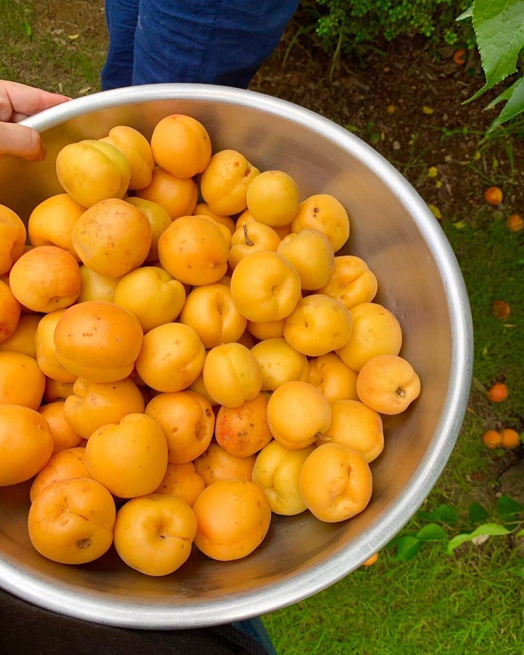 丘の上のパン屋 のグルメインスタ