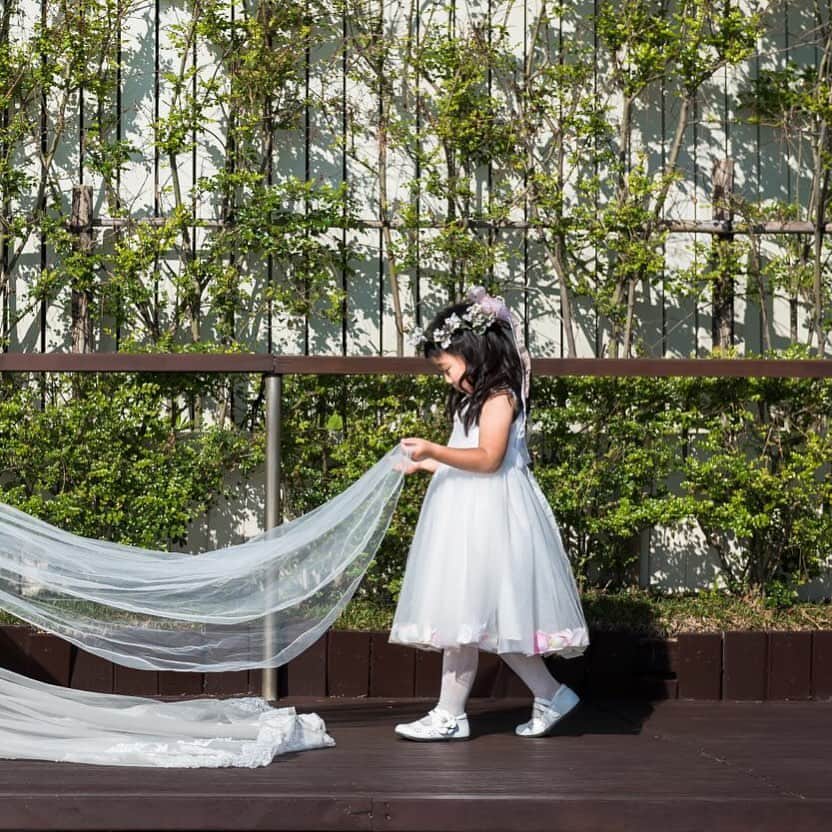 指帆亭のグルメインスタ