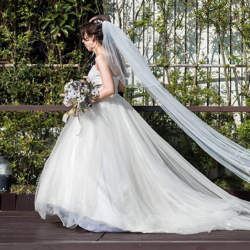 指帆亭のグルメインスタ