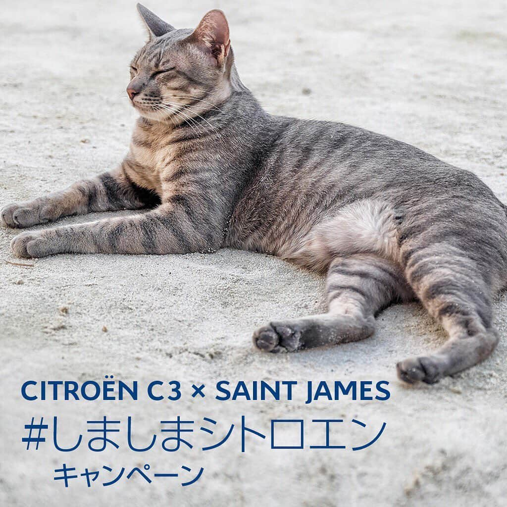 CITROEN JP Officialのインスタグラム