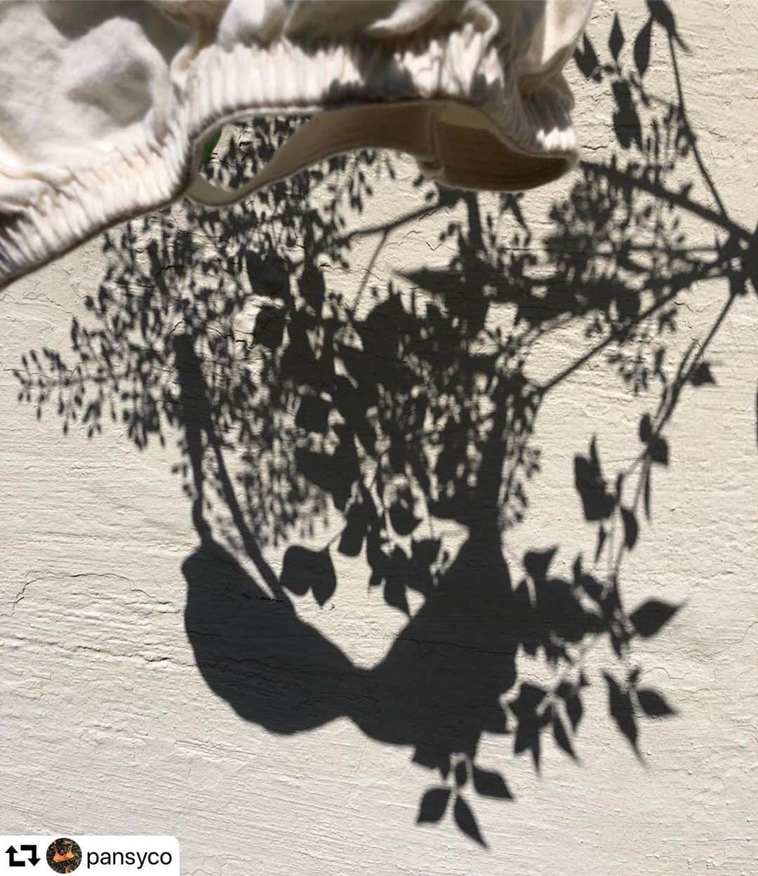 のインスタグラム：「- @pansyco  comming soon to EMILY WEEK. - #EMILYWEEK #reset #active #neutral #balance #aroma #organic #period #relax #design #typography #photography #womonslife #tokyo #ikebukuro #LUMINE #pansy #organiccotton #underwear - #repost @pansyco ・・・ shadow bra」