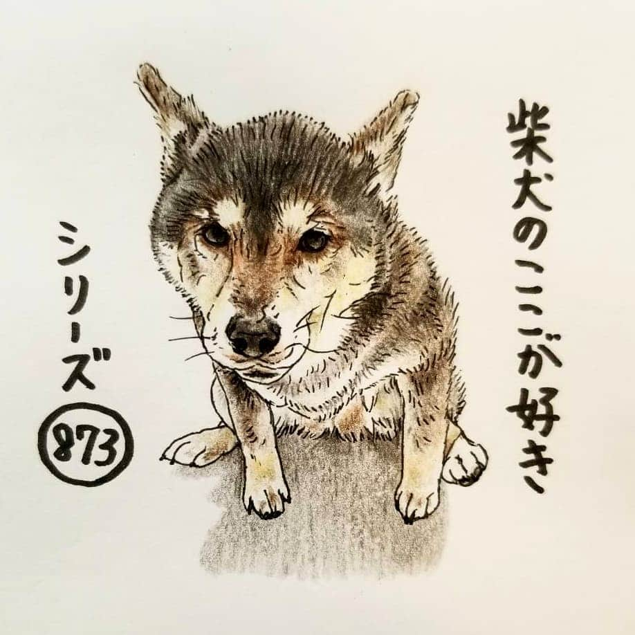 ハナとソラさんのインスタグラム写真 - (ハナとソラInstagram)「* #ここ柴部 『柴犬のここが好きシリーズ873』 おトイレしてるとこ見られると、 耳が後ろにそっちゃうとこ。  恥ずかしいのかな？  柴犬さんはお外派が多いけど、 お家で上手にできる子もいるね。 * No.873 “Please don't see.” * モデルは @kuroshibamame さんとこのまめちゃんです💕 #柴犬のここが好き #favoritepartsofshibainu #illustration #drowing #shibastagram #shibainu #colorpencil #kuroshiba #柴犬 #イラスト #いらすとぐらむ #しばすたぐらむ #黒柴 #色鉛筆 #柴公園イラスト #柴公園エンディング #ここ掘れここ柴」6月20日 19時25分 - nsdikm_hanasora