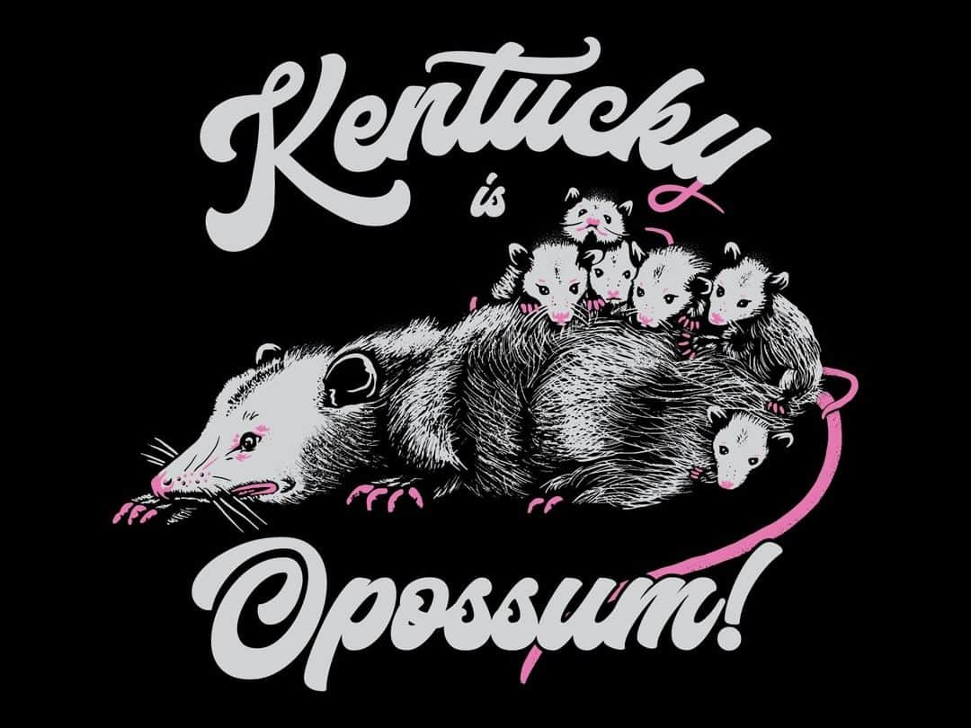 Dribbbleさんのインスタグラム写真 - (DribbbleInstagram)「Cousin to the New York City Rat? Kentucky is Opossum by @sinclairart⠀ ⠀ #dribbble #dribbblers #design #illustration #lettering」6月21日 0時52分 - dribbble