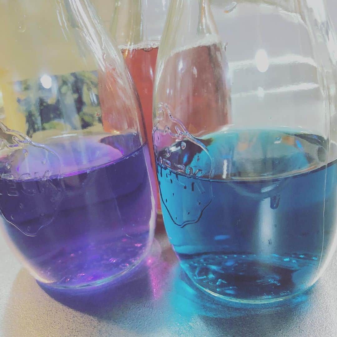 後藤温子さんのインスタグラム写真 - (後藤温子Instagram)「Butterfly pea tea🦋for visitors to my solo exhibition coming up this saturday. 今回の個展では、オープニングレセプションは行いませんが、初日の22日と23日に、お越し頂いた方々に青色（天然）のお茶…というよりジュース（バタフライピー）をお出しする予定。2日間丸々っとしっぽりなオープニング（のようなもの）にしようと…試作中。 #art #painting #watercolor #watercolorpainting #Butterflypea #blue #violet #gotoatsuko #gallerykogure #soloshow #JUNE2019」6月21日 0時58分 - gotsukooo